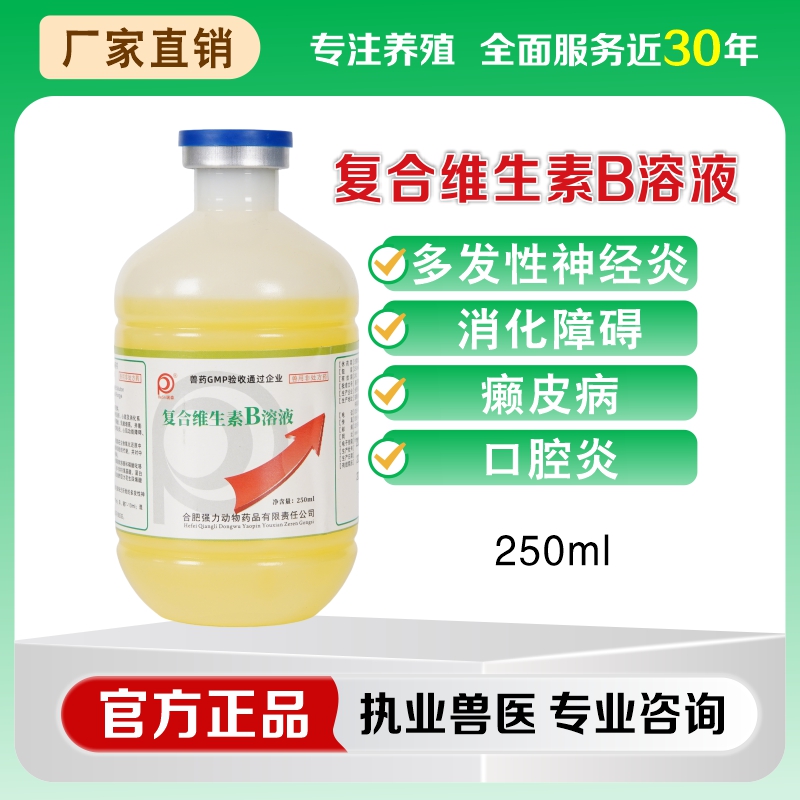 猫咪狗狗专用复合维生素b溶液宠物促消化猫癣神经炎口腔炎皮肤病