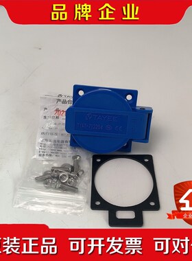 原装TAYEE天逸10A 220V插座TYAT-712204 议价
