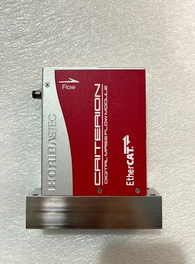 HORIBA D517J流量计 多个 议价