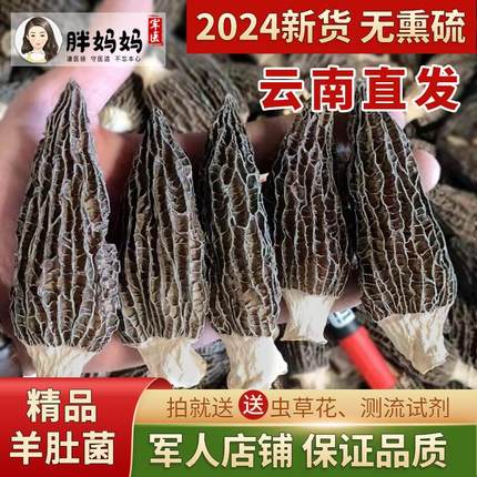 2024新货 羊肚菌干货野生500g 云南纯天然无添加特级虫草花牛肚菌