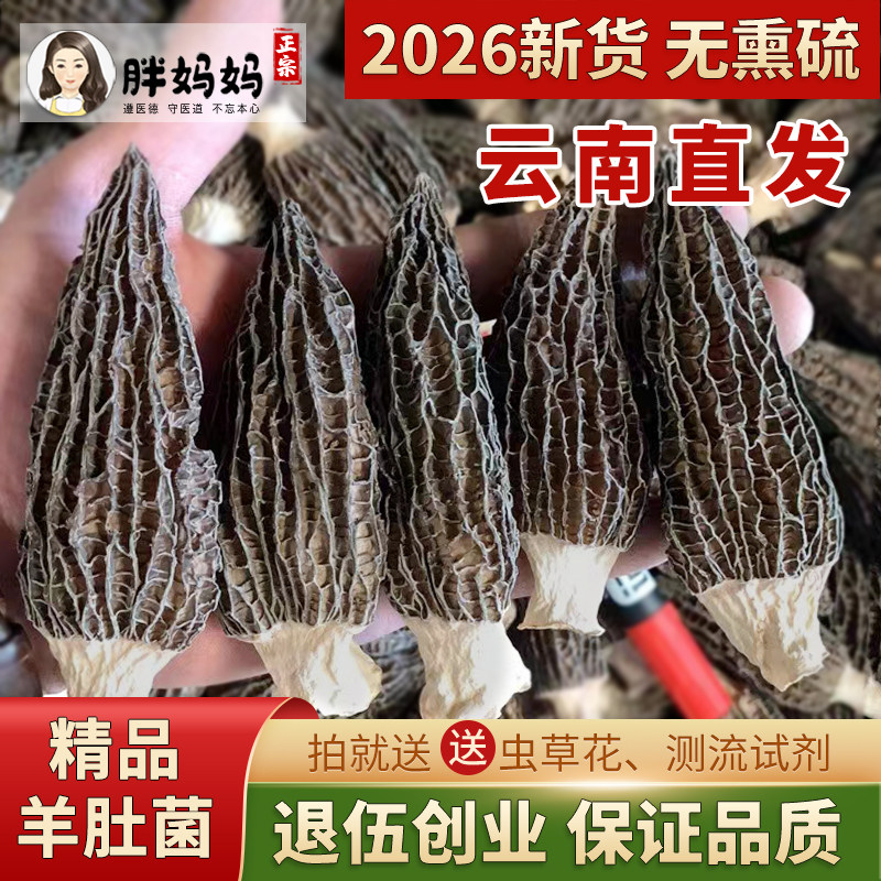 2026新货 羊肚菌干货野山生100g 云南纯添然无天加特等级配牛肚菌