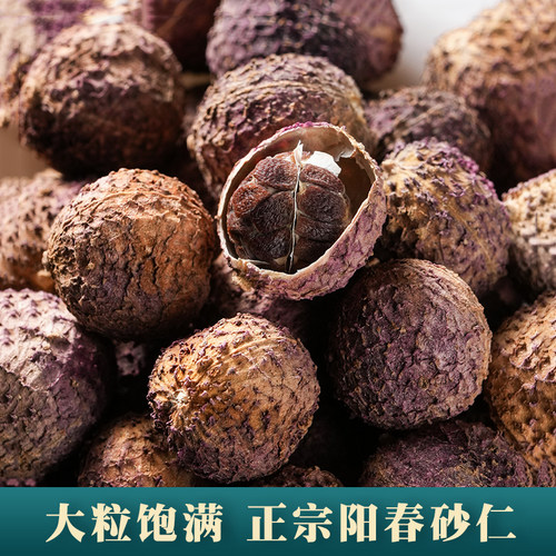 100g春砂仁药祖谷阳春特产