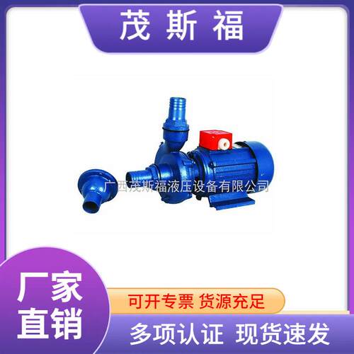 40JDB-12550W304不锈钢齿轮泵搅拌机水泵离心泵清水泵