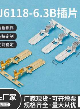 DJ6118-6.3B横带插片铜DJ626-6.3B6.3插片6.3平板插簧