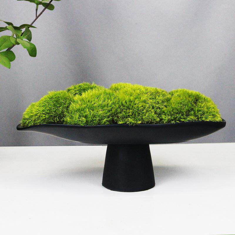 永生苔藓微景观花艺盆景售楼样板房客厅茶室新中式装饰品开业摆件