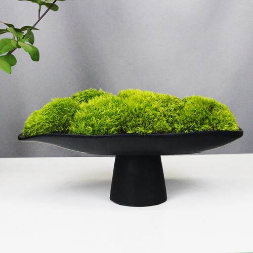 永生苔藓微景观花艺盆景售楼样板房客厅茶室新中式装饰品开业摆件