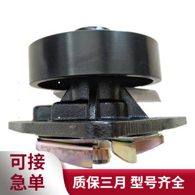 工程机械发动机水泵总成4089647康明斯配件图片