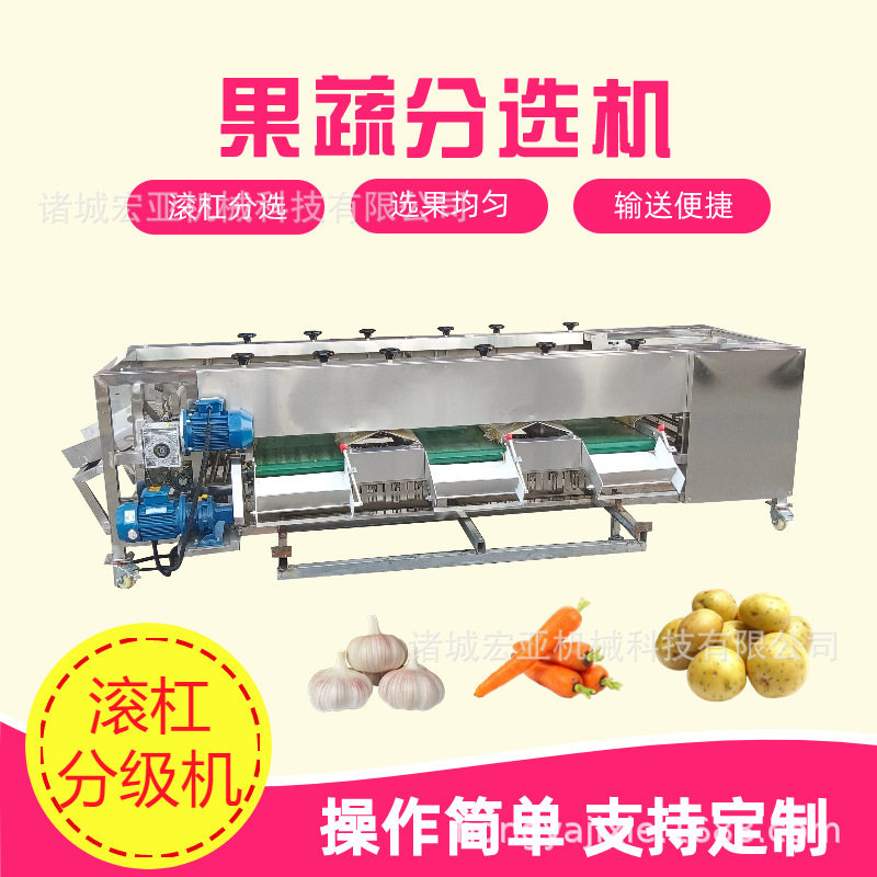 滚杠式土豆洋葱分选机商用圣女果荔枝选果机自动胡萝卜分选设备图片