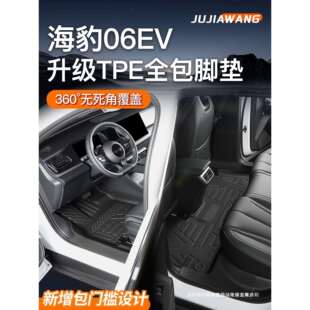 昌赫适用25款比亚迪海豹06EVTPE脚垫DMI全包围装饰GT配件用品新06