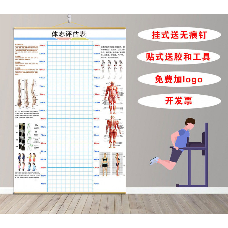 体态评估图健身房体测表瑜伽私教身体形体测评脊椎墙壁画装饰其他