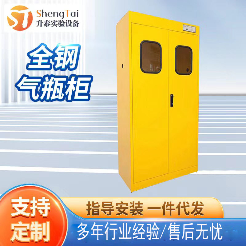 长期供应全钢气瓶柜双瓶钢瓶柜防爆耐腐蚀实验室专用