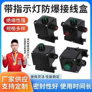 电热带伴热带配件带指示灯防爆温控器电源接线盒二通三通尾端终端