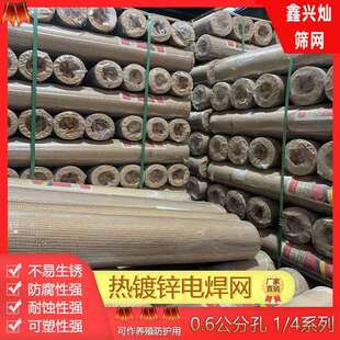 现货1/4孔电焊网0.6小孔热镀锌铁丝网冷镀锌电焊网卷电镀网格网片