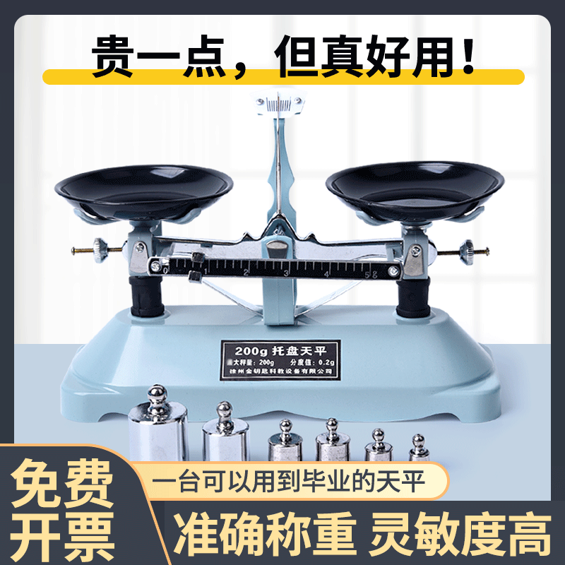 天平教具初中托盘天平秤