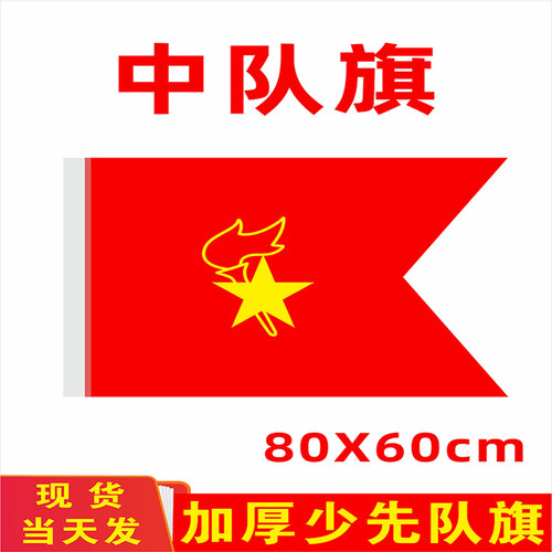 少先队中队旗手持少年先锋队