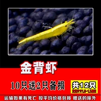 10 золотых задних креветков дайте 2 дать 2 всего 12