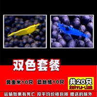 10 Желтый рис 10 синий бархат 10 в общей сложности 20