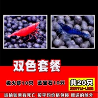 Десять 10 сапфиров из огненных креветков шеста