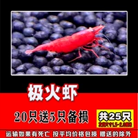 Большой огонь 20 и получение 5, 25, 25