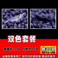 10 снежных креветков 10 шоколад 10 лучших 20 в общей сложности