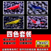 Полярная креветка 5 сапфир 5 золотой ми 5 красный лиули 5