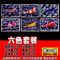 Сакура 15 Красный и белый 3 драгоценный камень 3 Red Ryu 3 Fragrant 3 Polar 3