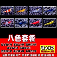 Вода 5 ладан 5 Снег 5 Сокровища 5 Красная Рок 5 Голубая скала 5 шеста 5 назад 5