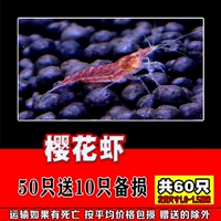 Сакура -креветки 50 получают 10 и 60 в общей сложности