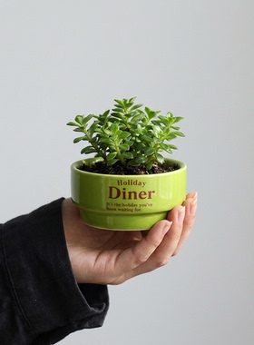 绿色陶瓷花盆栽室内装饰摆件