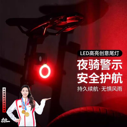 适用迪卡侬rc100自行车夜骑灯后尾tilt120/st100/riverside配件
