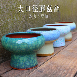 多肉老桩粗陶花盆蘑菇盆火锅盆大口径陶瓷拼盘阳台家用特价清仓盆