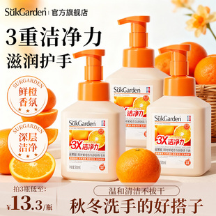 蔬果园鲜橙泡泡洗手液儿童家用按压式 泡沫抑菌高级香氛易冲洗大瓶