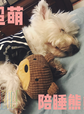 LAZY发声毛绒狗狗玩具陪睡小熊熊互动解闷 西高地柯基法斗