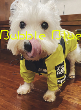 宠物 猫咪 狗狗上衣 潮牌 冲锋衣 雨衣 防水衣服 外套 西高地柯基