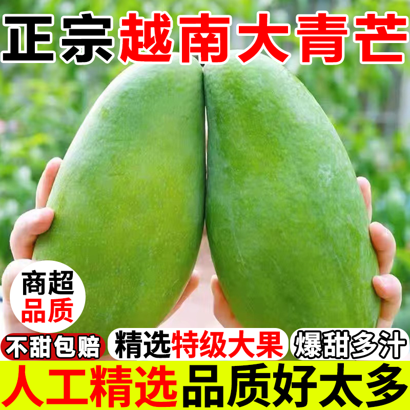 新鲜特大大青芒爆甜10斤