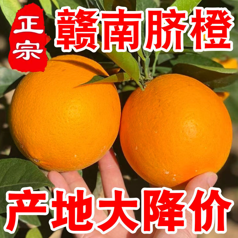 正宗江西赣南脐橙新鲜橙子10斤大果当季水果孕妇甜橙赣州产地直发图片