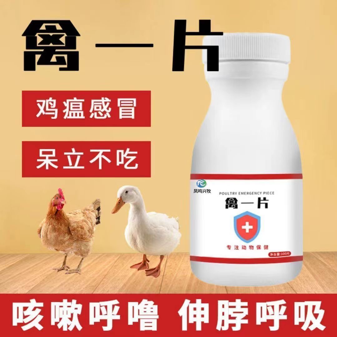 禽一片鸡鸭鹅鹌鹑鸽子精神沉咳喘耷拉翅膀咳嗽呼噜拉稀家禽常备