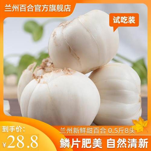 兰州甜百合正宗好货不贵