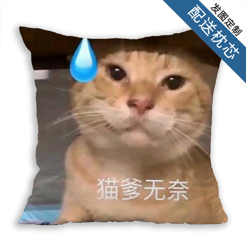 耄耋周边哈基米耄耋哈基仙可爱猫创意抱枕误会靠垫方形枕头礼物