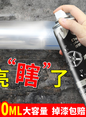 镀铬手摇自动喷漆不锈钢专用镀络镀锌电镀银粉银色油漆金属防锈漆