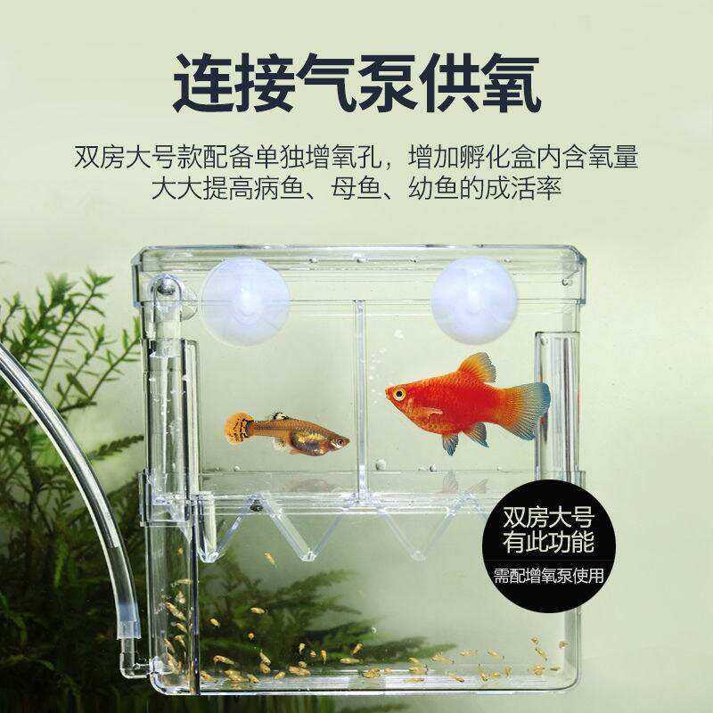 鱼缸隔离仓盒迷鹦鹉鱼殖隔离母鱼繁j65190殖繁隔离盒产卵孵化产房