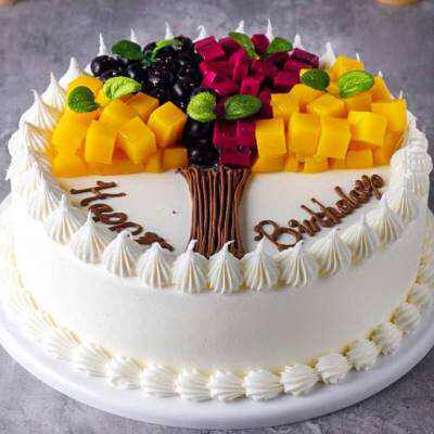 新款模型大树2021橱窗样品爸爸水果蛋糕模型仿真生日快乐生日.1.