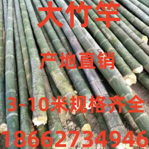 竹竿3米4米5米6米长粗竹竿大毛竹杆 菜园搭架竹竿 竹子旗杆搭架