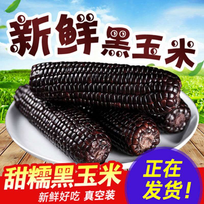 新鲜玉米真空保鲜甜糯绿色种植