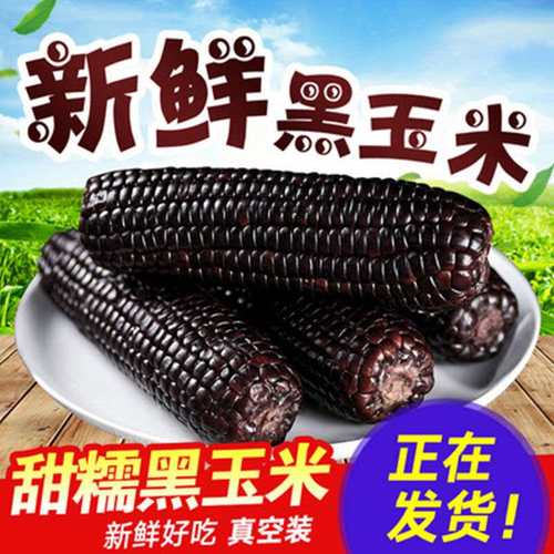 新鲜玉米真空保鲜甜糯绿色种植