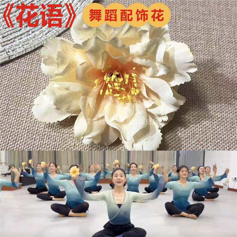 小红花古典舞蹈花语戴在