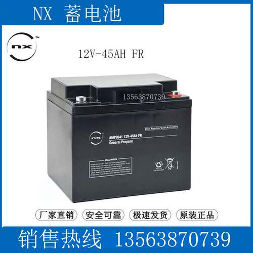 NX蓄电池12V45AH AMP9041 通讯/UPS应急直流屏机房 S 12V-45AH FR