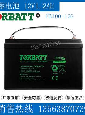 FORBATT蓄电池12V100AH FB100-12G UPS应急 医疗仪器 通讯 直流屏