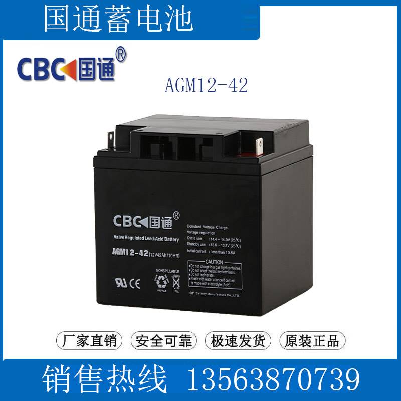 国通铅酸蓄电池12V42AH/20HR 通讯/UPS应急/直流屏/机房 AGM12-42