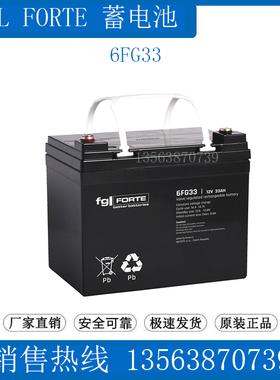 fgl FORTE蓄电池 6FG33 12V133AH 照明/直流屏/基站/UPS/医疗仪器